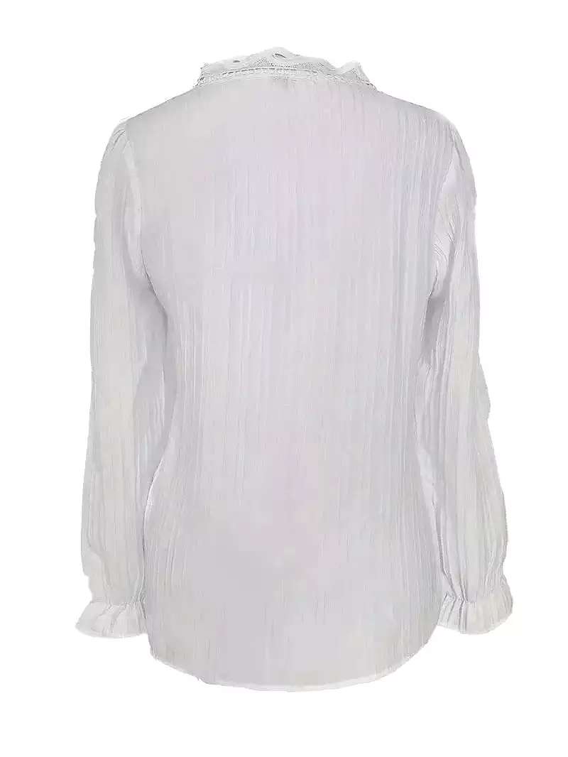 Elegant Women's Lace Shirt Blouse with V-Neck and Long Sleeves